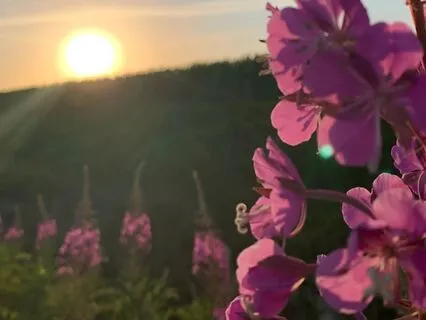 Calm, Centered, And Content With Gratitude