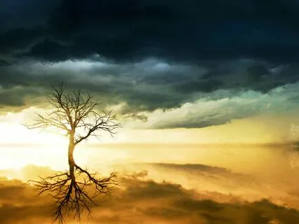 Calm Clarity: 963 Hz For Stress Relief And Focus