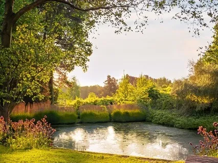 Calm, Clarity, And Confidence Meditation With Soothing Music