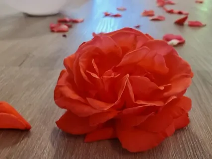 Calm, Clarity & Confidence