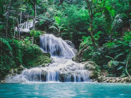 Calm Clarity: Embrace Positive Flow