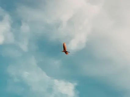 Daily Reset: Calm Confidence Reset (5 Minutes)