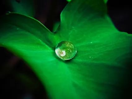 Calm, Connected, Ready for Your Day