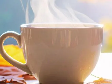 Calm Cozy Morning Moment