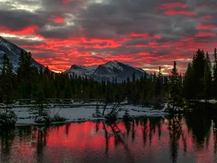 Calm, Curious & Compassionate