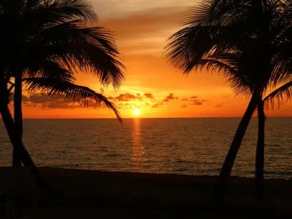 Calm Current: A Gentle Relaxation Soundscape