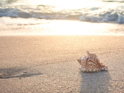 Calm Down | Relieve Stress