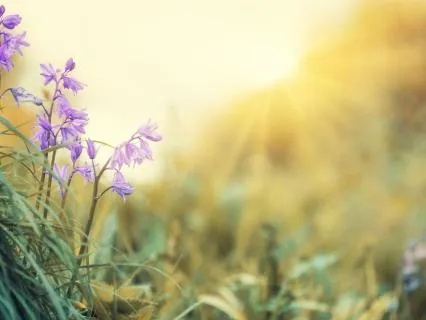 Calm Down: Connect To Your Breath & Body