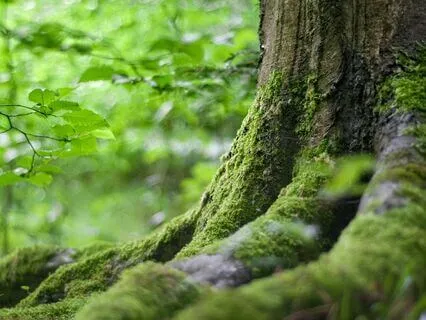 Calm Down From Panic Attacks And Reduce Anxiety