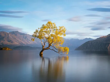 Calm Down Your Emotions