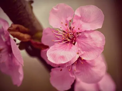 Calm Down Your Restless Nervous System