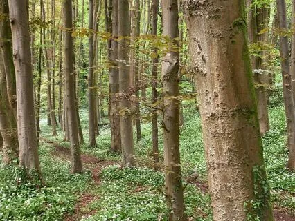 Calm & Ease Meditation