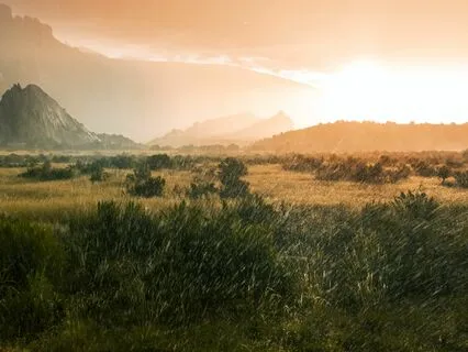Calm Embrace: Music To Dissolve Anxiety