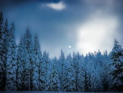 Calm Fantasy Music For Sleep & Relaxation (432Hz)