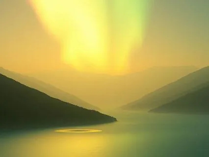 Calm Field For Emotional Release