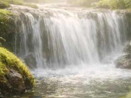 Calm Fight Or Flight – Nervous System Reset