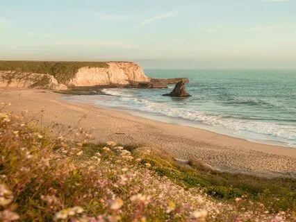 Calm Flow: Ambient Music For Focus And Productivity