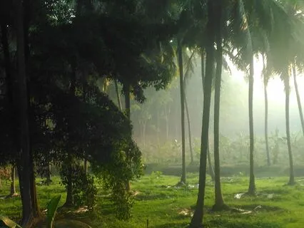 Calm Focus & Inner Balance