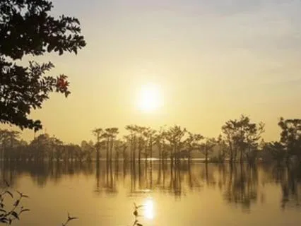 Calm For Morning Anxiety