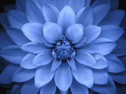 Calm For The Overactive Mind