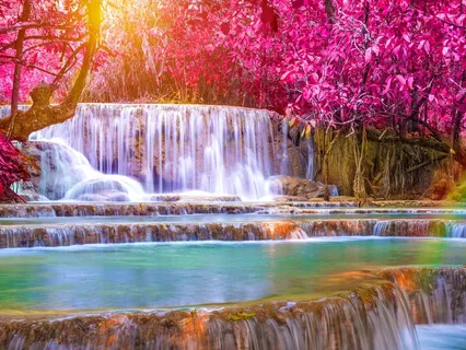 Calm Forest (Relaxing Music & Nature Sounds)