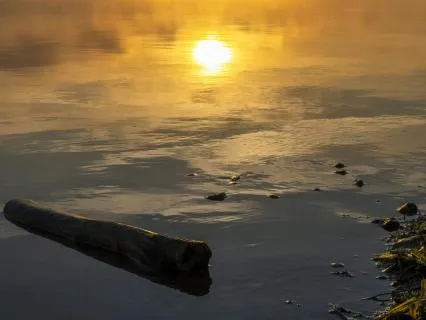 Calm & Grounded Day (EFT Tapping)