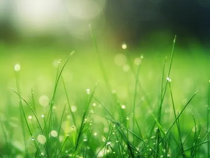 Calm & Heal Meditation - IBS, Stomach & Digestive Issues