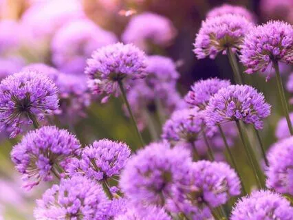 Calm Horizon — Gentle Saxophone For Deep Relaxation