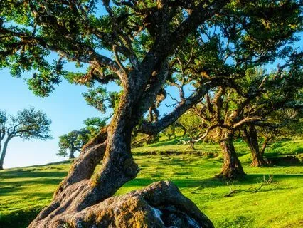 Calm Horizons: Let Stress Drift Away