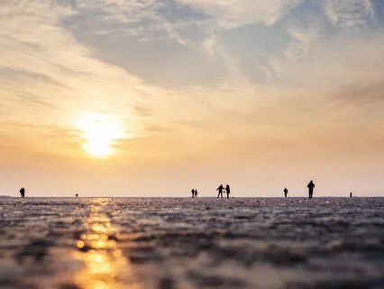 Calm Horizons: Music For A Stress-Free Mind