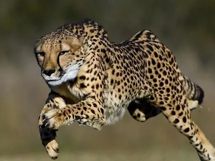 Calm In A Minute: Quick And Powerful Stress Hack