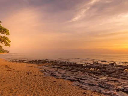 Calm In The Chaos: Reduce Anxiety