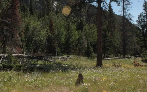 Calm In The Face Of Fear