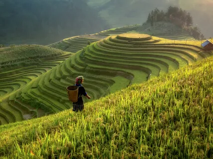 Meditation To Calm Anxiety 