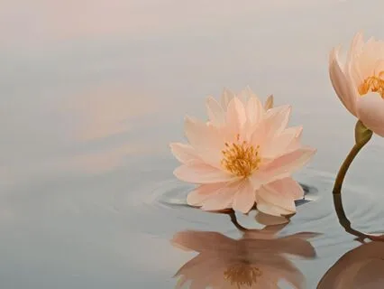 Calm In The Moment
