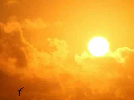 Calm Meditation- Awakening Balance And Clarity