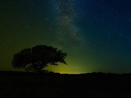 Calm Meditation Sleep Music