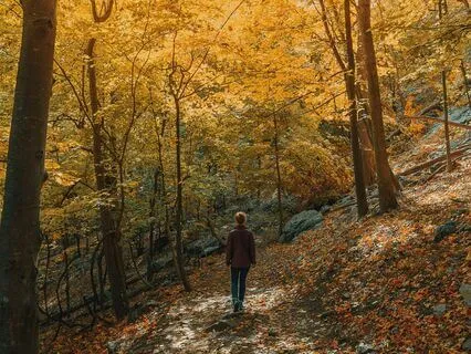 Calm Mind And A Breath For Peace