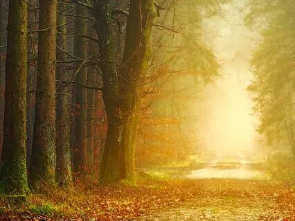 Calm Mind, Happy Body