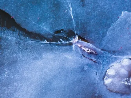 Calm Mind | Music For Studying, Concentration And Focus