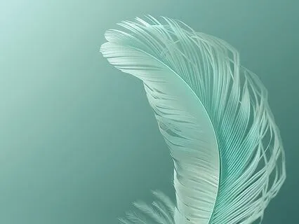 Calm Mind: Release What Does Not Serve You