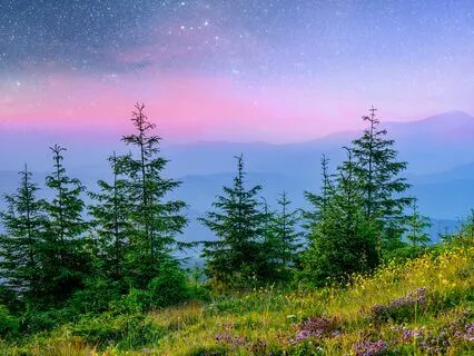 Calm Mind, Sleep Deep