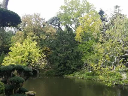 Calming Your Mind By Observing Your Breath