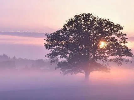 Calm Morning Anxiety (5 Minutes)