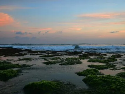 Calm Morning Sound Bath
