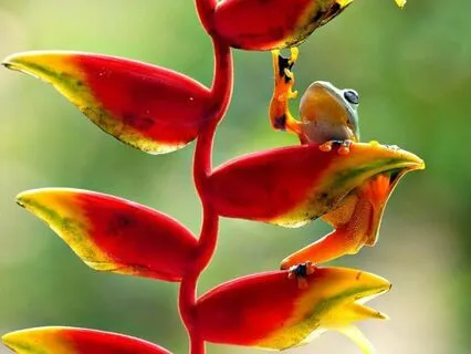 Calm - Music For Stress Relief