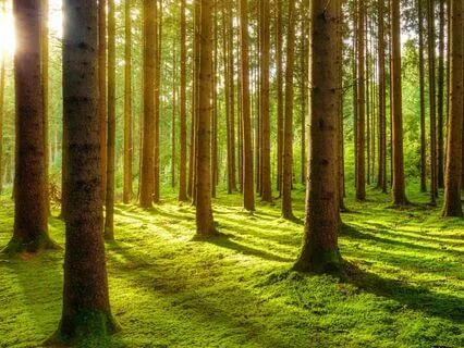 Calm Music To Let Go