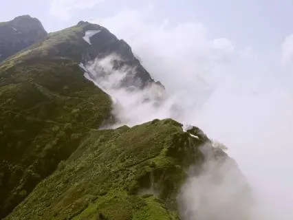 Calm Nature Ambient Music for Deep (8-Hour Sleep Version)