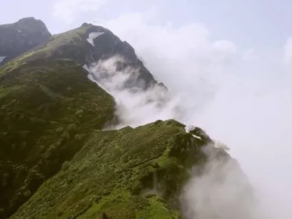 Calm Nature Ambient Music for Deep Sleep