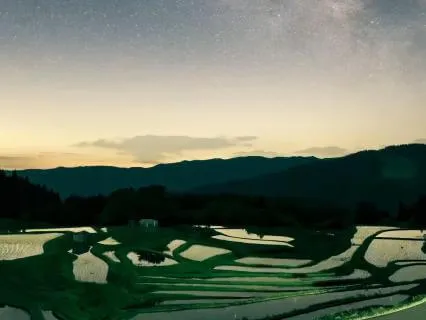Deep Sleep | Night Insects Sounds